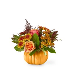 Honeyed Harvest Pumpkin from Clifford's where roses are our specialty